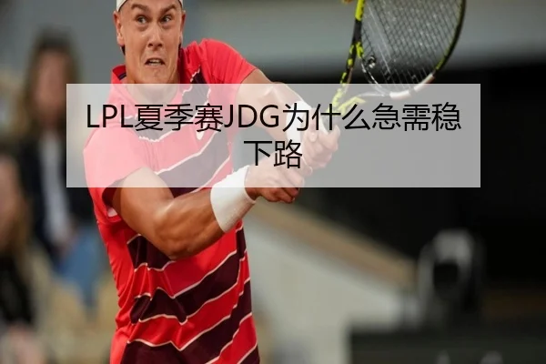 LPL夏季赛JDG为什么急需稳下路